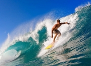 开云世界杯2026-从CBA硬仗到NBA巅峰，开拓者精神的双重奏