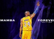 开云足球直播-沙漠风暴席卷末节，沙特抢七战逆转美国，书写篮球史新章