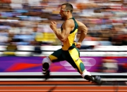 开云APP-新王登基！波兰队横扫法国问鼎欧锦赛，奥恰洛夫创历史成最年长MVP