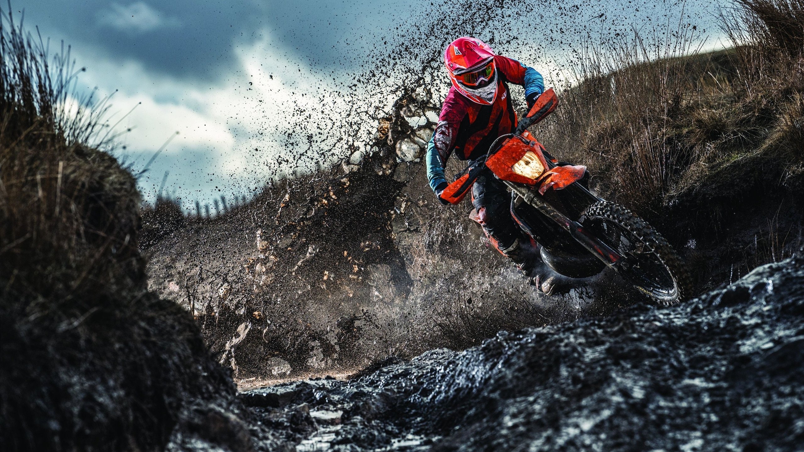 赛道上的光影魔术师，米切尔率队征服F1街道赛之夜