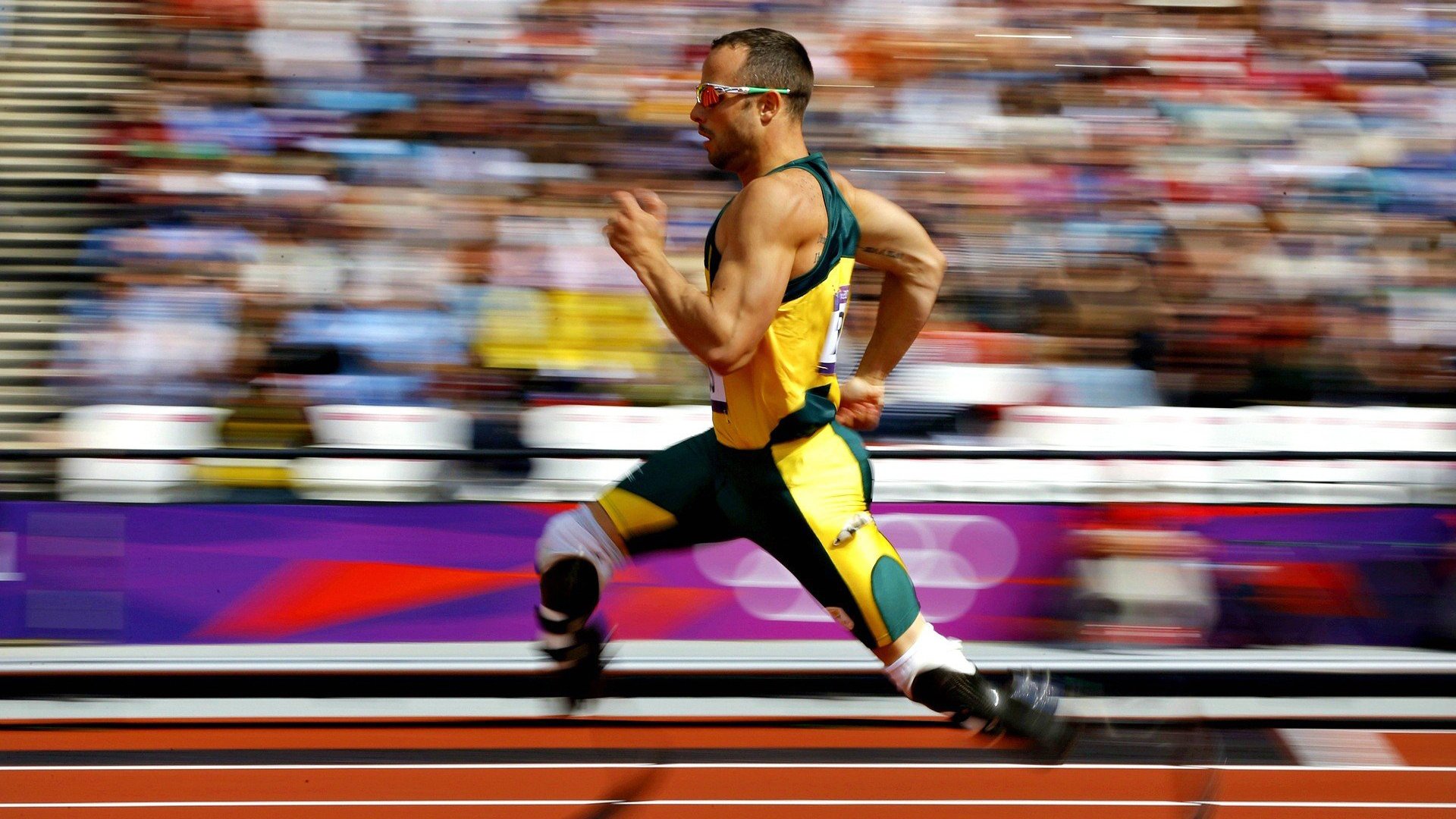 新王登基！波兰队横扫法国问鼎欧锦赛，奥恰洛夫创历史成最年长MVP